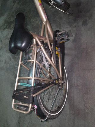 Bicicleta niña 20 pulgadas