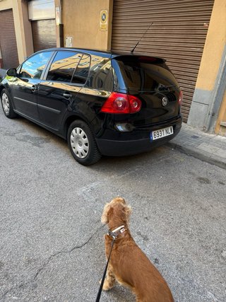 Volkswagen Golf 2006