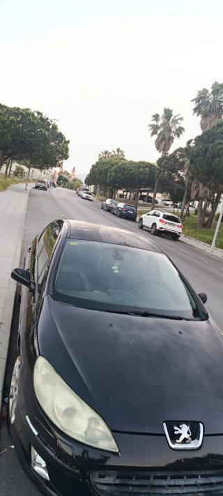 Peugeot 407 2004