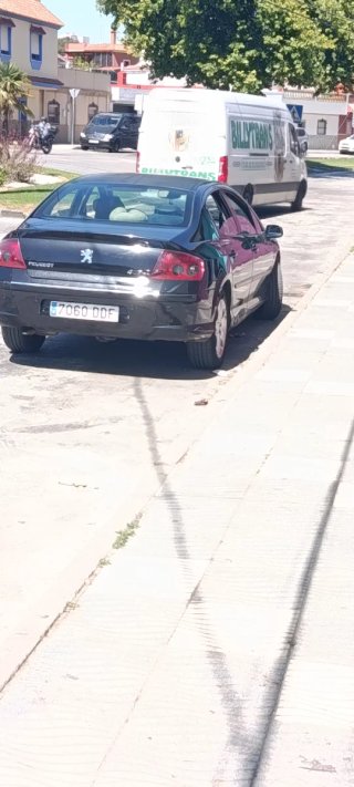 Peugeot 407 2004