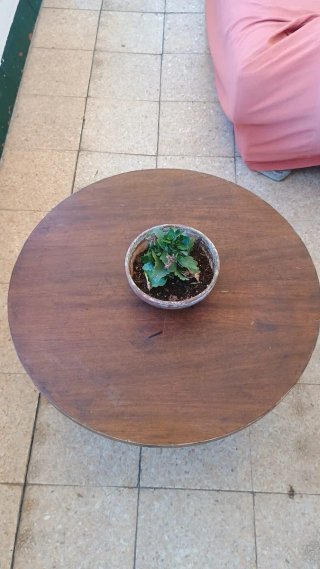 MESITA DE ROBLE ANTIGUA 70 X 45