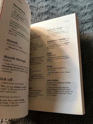 Word up! Diccionario Ingles/Español Español/Inglés