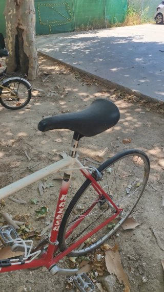 Bicicleta Retro Razesa