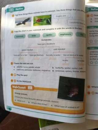 CLIL World Natural Sciences 3. Class Book