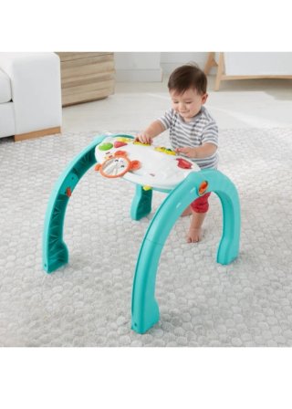 Gimnasio Fisher Price Acuario