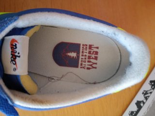 Zapatillas Nike Cortez Nylon AW Azul/Verde