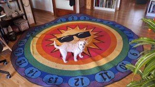 Alfombra redonda infantil con números.