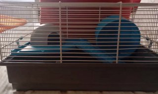 Jaula para ratón azul y gris