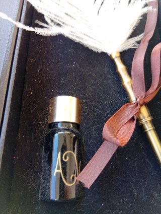 Set Penna Piuma Calligrafia con Pennini