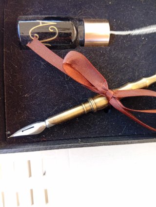Set Penna Piuma Calligrafia con Pennini