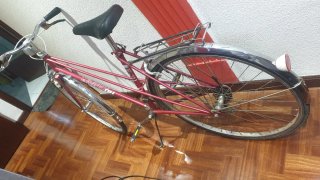 Bicicleta BH Gacela Paseo