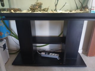 Acuario 200L completo