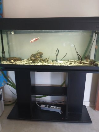 Acuario 200L completo