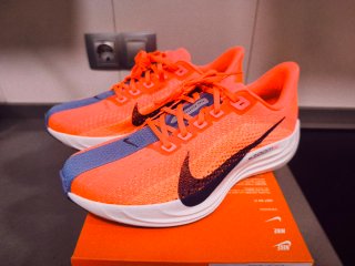 Nike Pegasus 38 Hot Lava/Dark Raisin