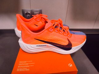 Nike Pegasus 38 Hot Lava/Dark Raisin