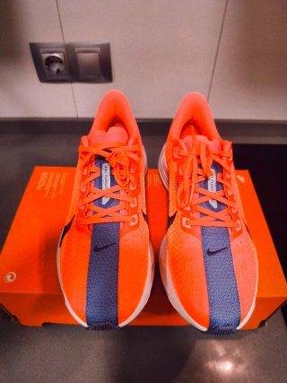 Nike Pegasus 38 Hot Lava/Dark Raisin
