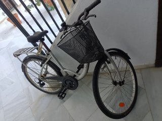 Bicicleta Urbana con Cesta y Portabultos
