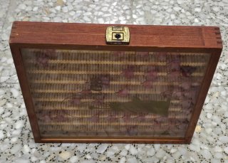 Expositor Agujas Tocadiscos etiquetas por Modelos