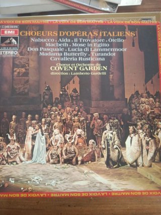 Lote 6 boxset y 6 lps de música clásica y opera.