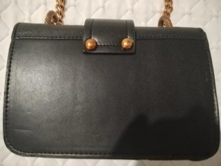 Bolso Negro con Detalle Serpiente Dorado