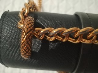 Bolso Negro con Detalle Serpiente Dorado