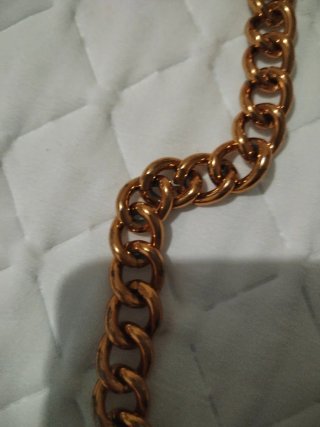 Bolso Negro con Detalle Serpiente Dorado