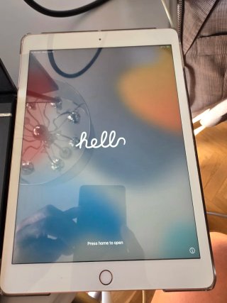 iPad 8ª Generazione Oro Rosa con caricatore