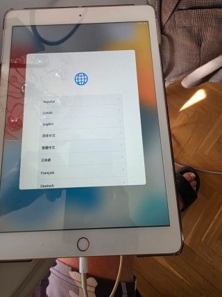 iPad 8ª Generazione Oro Rosa con caricatore