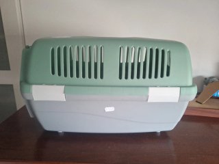 Transportín para mascotas verde y blanco