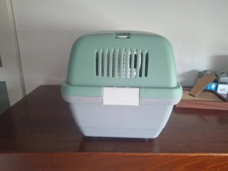 Transportín para mascotas verde y blanco