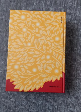 Dizionario spagnolo nuovo