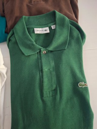 Lote 6 polos premium Lacoste y Polo Ralph Lauren