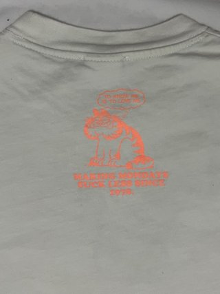 Camiseta Zara Garfield Never Trust A Smiling Cat