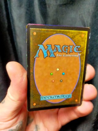 Carta Magic Isla Pintada a Mano full art