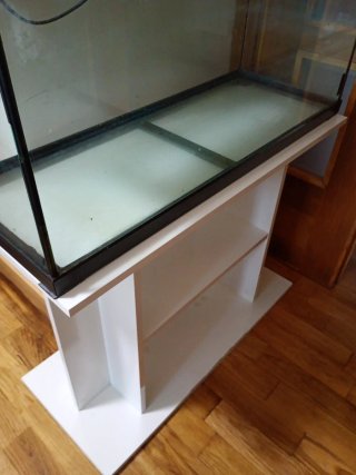 Terrario Rectangular Grande con Iluminación