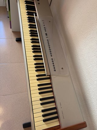 Piano eléctrico 88 teclas con pedal sustain