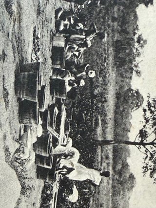 Set di cartoline postali africane centenarie del 1920