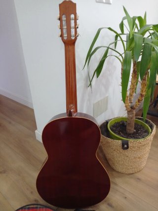 Guitarra Alhambra 2C Artesana + Funda