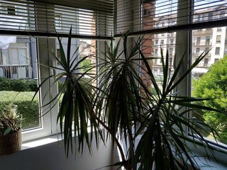Piso en venta en Intxaurrondo en San Sebastián-Donostia