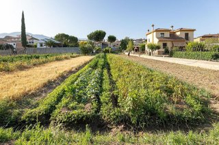 Terreno en venta en Zubia (La)
