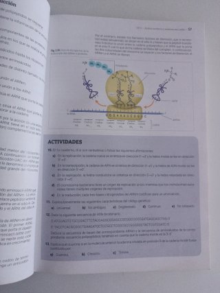 Biología molecular y citogenética