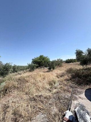 Terreno en venta en Montellano