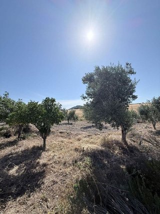 Terreno en venta en Montellano