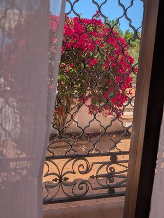 Chalet en alquiler en Nueva Andalucía centro en Marbella