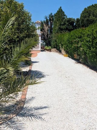 Chalet en alquiler en Nueva Andalucía centro en Marbella