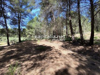 Terreno en venta en Olleria (l´)