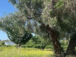 Terreno en venta en La Banda - Campo de Fútbol en Chiclana de la Frontera