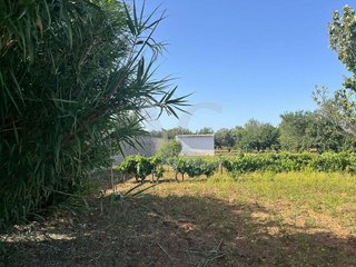 Terreno en venta en La Banda - Campo de Fútbol en Chiclana de la Frontera