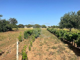 Terreno en venta en La Banda - Campo de Fútbol en Chiclana de la Frontera