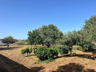 Terreno en venta en La Banda - Campo de Fútbol en Chiclana de la Frontera